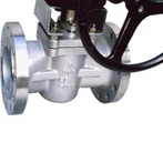 Soft Seat Plug Valve