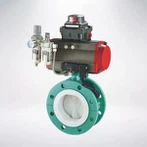 Teflon Lined Butterfly Valve