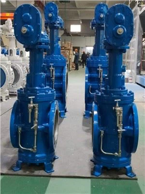 Double Block And Bleed Plug Valve