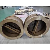 Dual Plate Check Valve