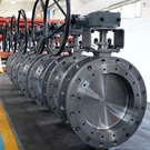 High Performance Butterfly Valve
